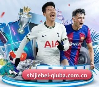 世界杯比赛数据 APP 界面