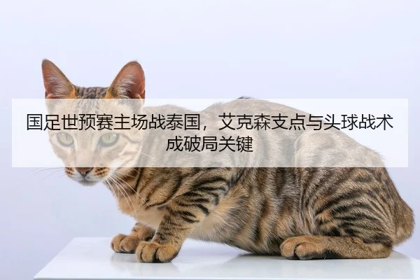 国足世预赛主场战泰国，艾克森支点与头球战术成破局关键